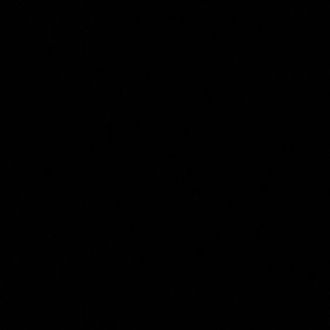 Meet your Posher, Monae